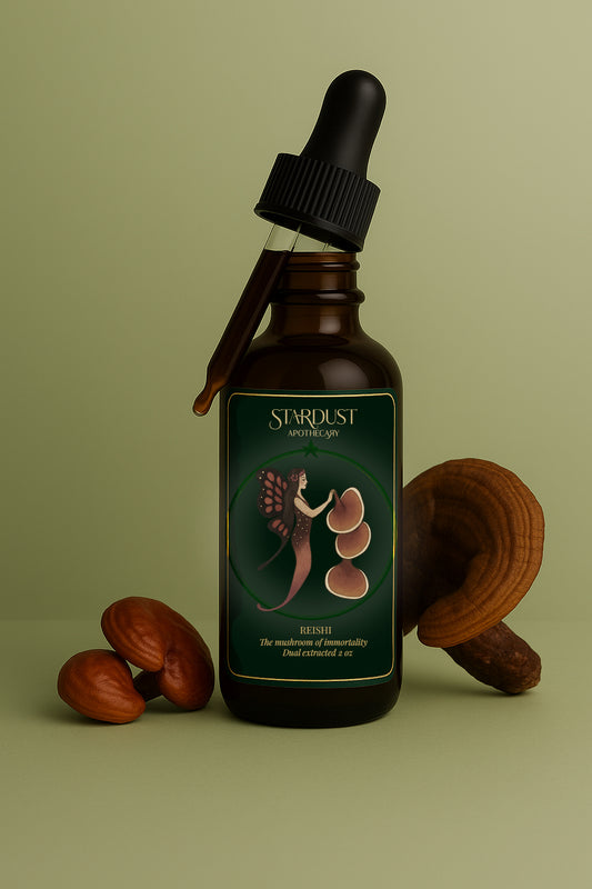 Reishi | The Mushroom of Immortality